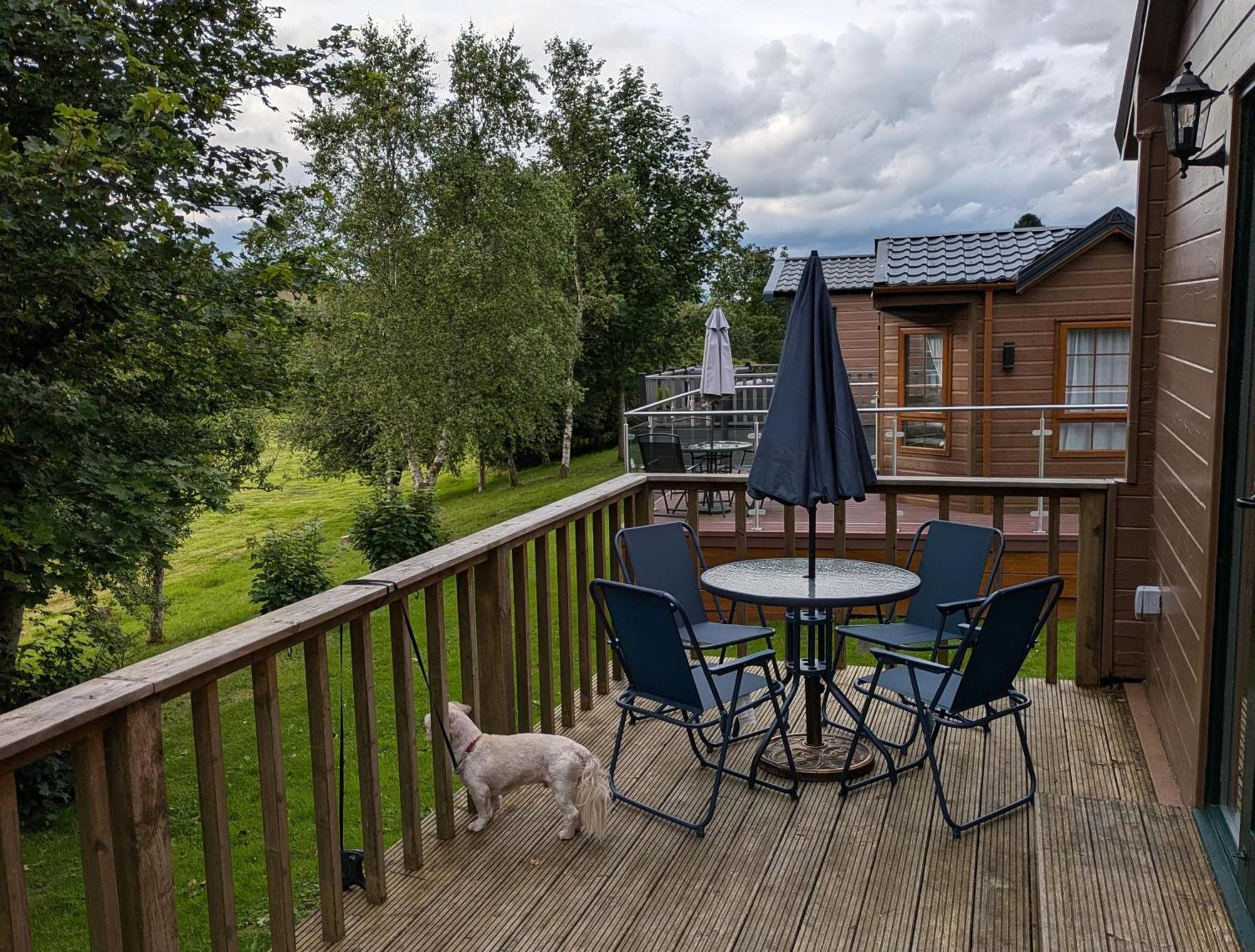 Rustic Lodge Retreat At Riverview Holiday Park Newcastleton Екстер'єр фото
