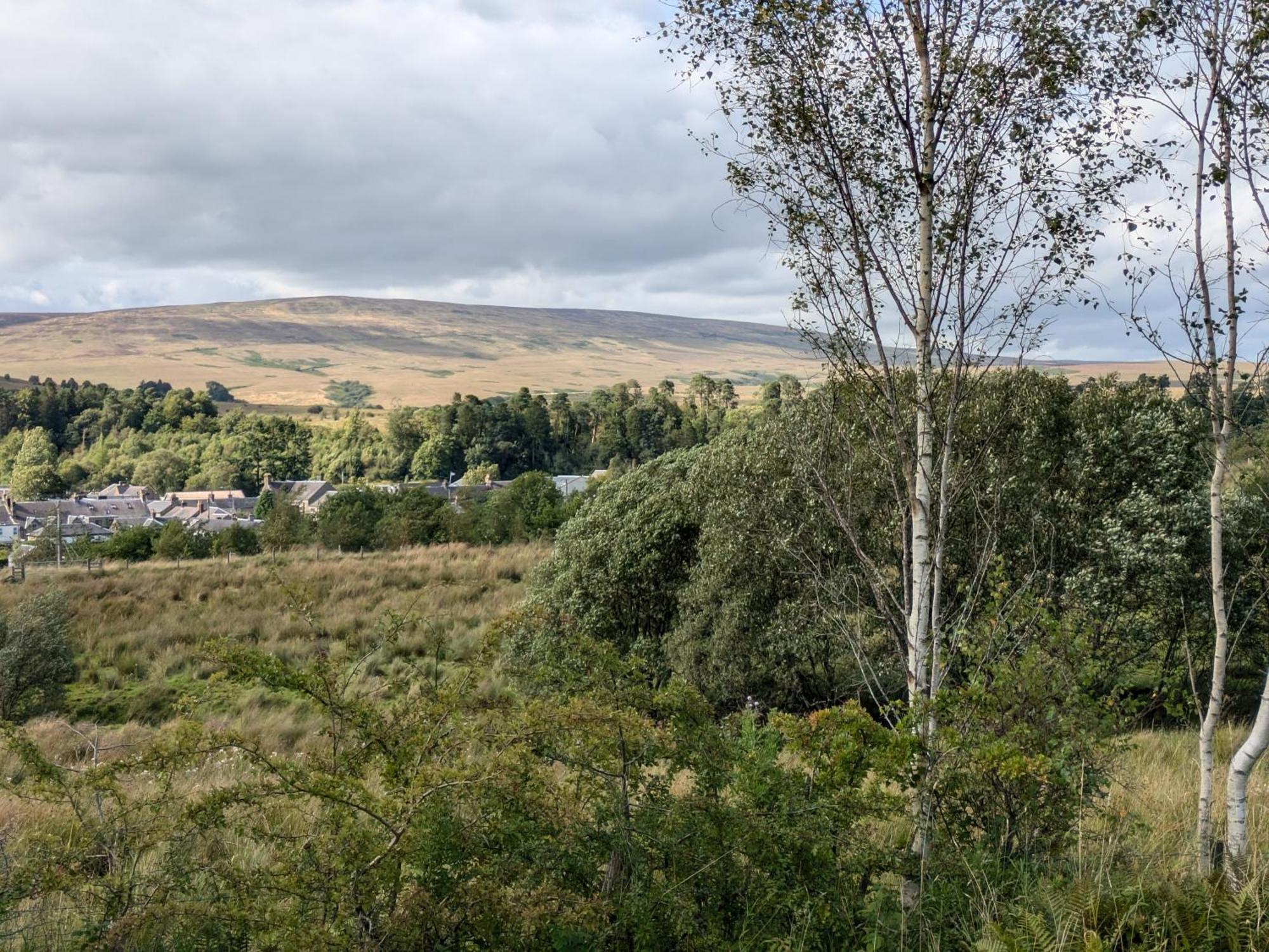 Rustic Lodge Retreat At Riverview Holiday Park Newcastleton Екстер'єр фото